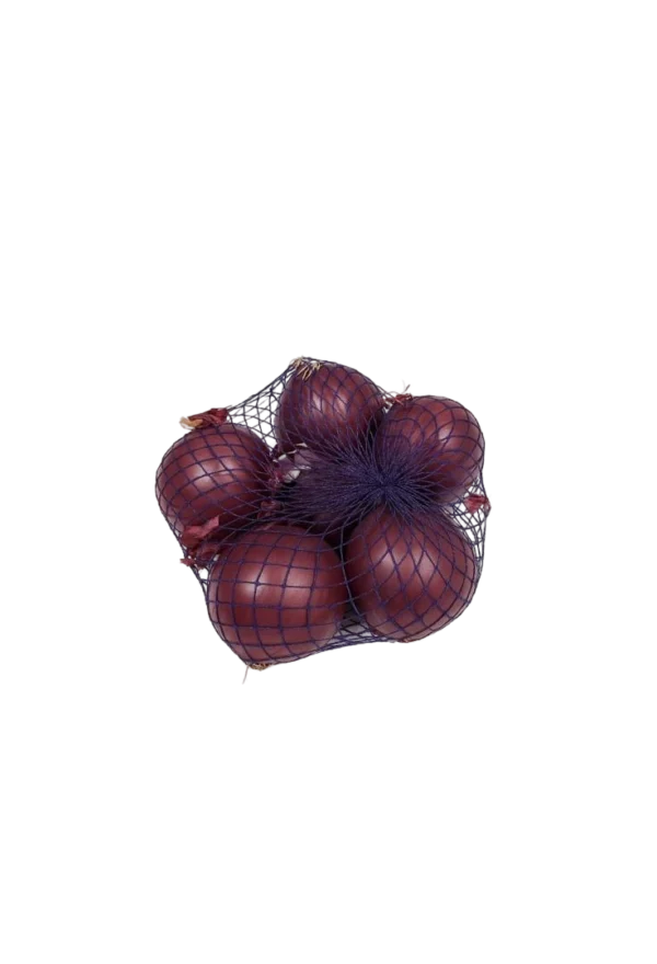 Cebolla