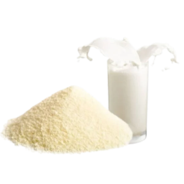 Leche en polvo