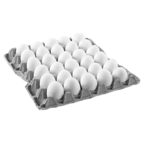 Huevos